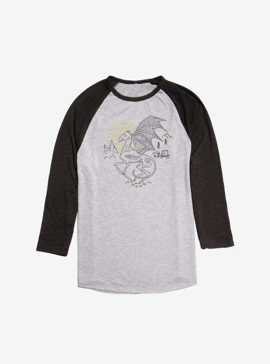 Clothing * | Cheap Harry Potter Darkness Falls Raglan