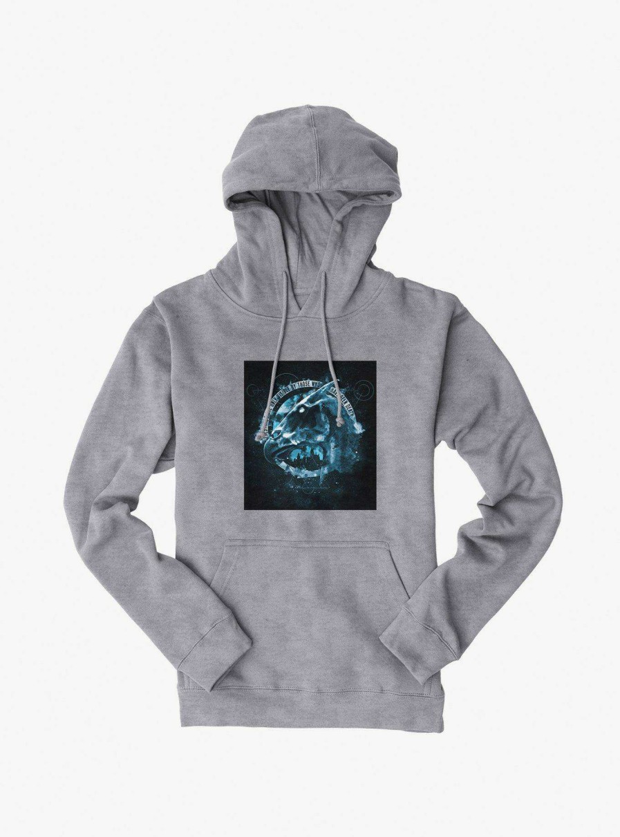 Clothing * | Harry Potter Thestral Profile Hoodie Exclusive Design