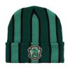 Accessories * | Limit Offer Harry Potter Slytherin Striped Cuff Beanie Boxlunch Exclusive